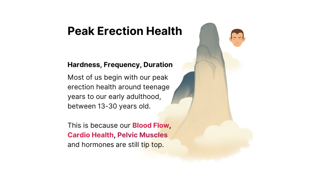 We all begin with a strong peak erection performance